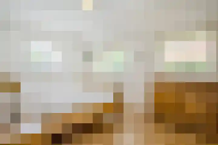 Westeinde 500 Vriezenveen thumbnail 17