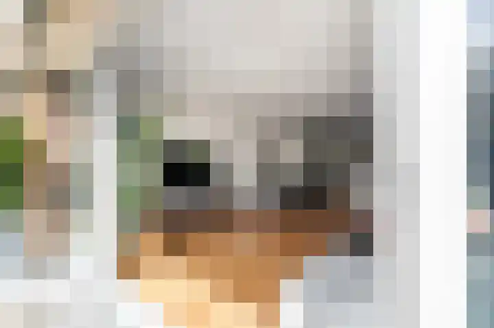 Westeinde 500 Vriezenveen thumbnail 25