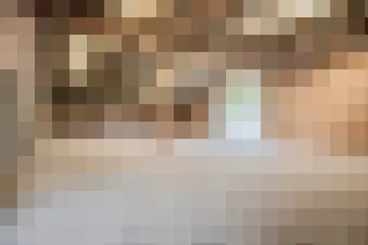 Westeinde 500 Vriezenveen thumbnail 27