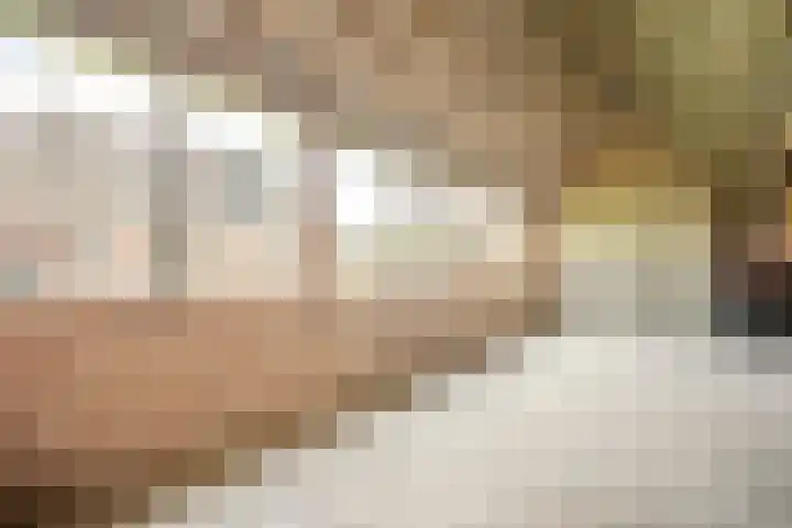 Westeinde 500 Vriezenveen thumbnail 29