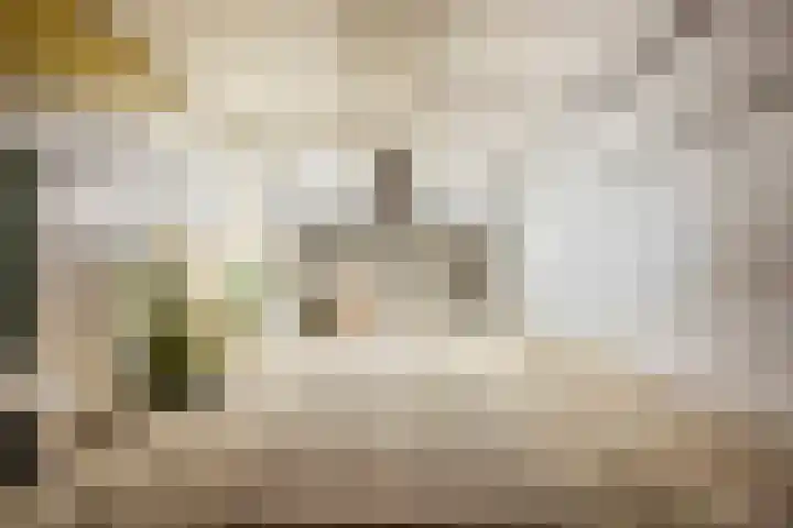 Westeinde 500 Vriezenveen thumbnail 30