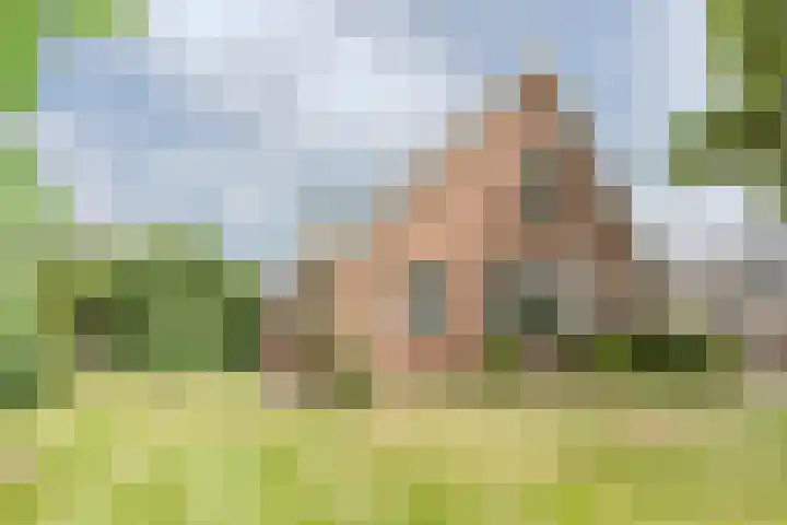 Westeinde 500 Vriezenveen thumbnail 4