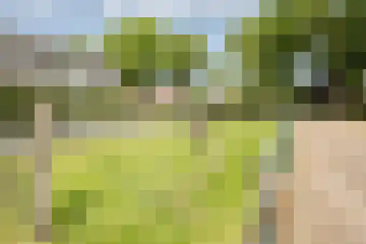Westeinde 500 Vriezenveen thumbnail 43
