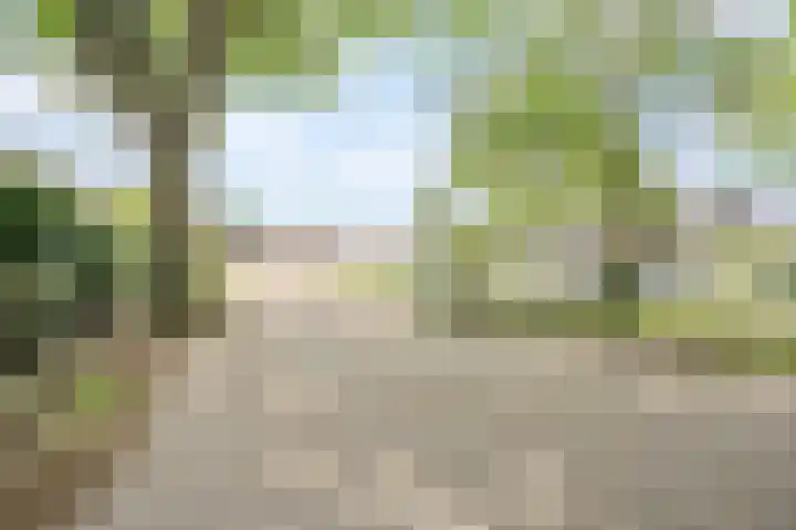 Westeinde 500 Vriezenveen thumbnail 44