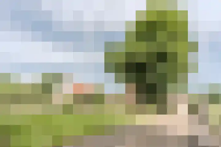 Westeinde 500 Vriezenveen thumbnail 47