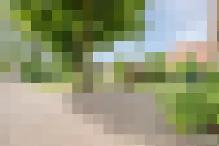 Westeinde 500 Vriezenveen thumbnail 5