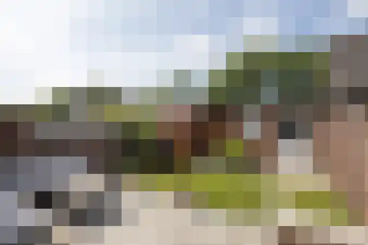 Westeinde 500 Vriezenveen thumbnail 6