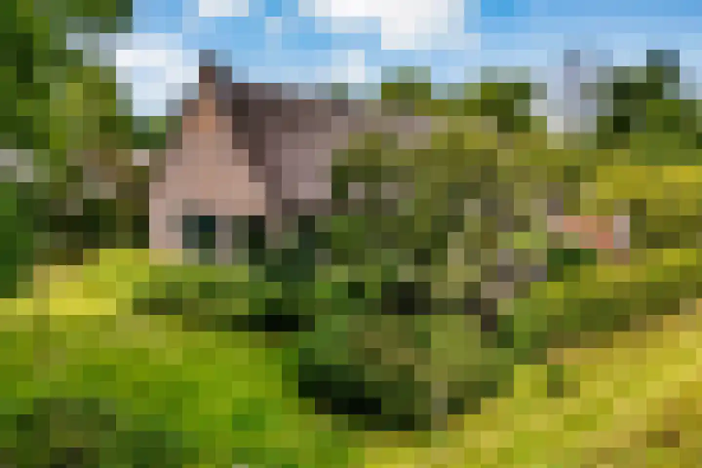 Westeinde 51 Dwingeloo thumbnail 11