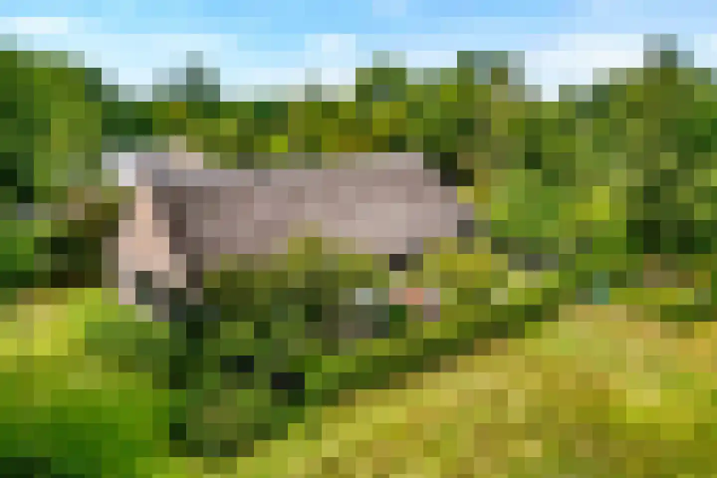 Westeinde 51 Dwingeloo thumbnail 12