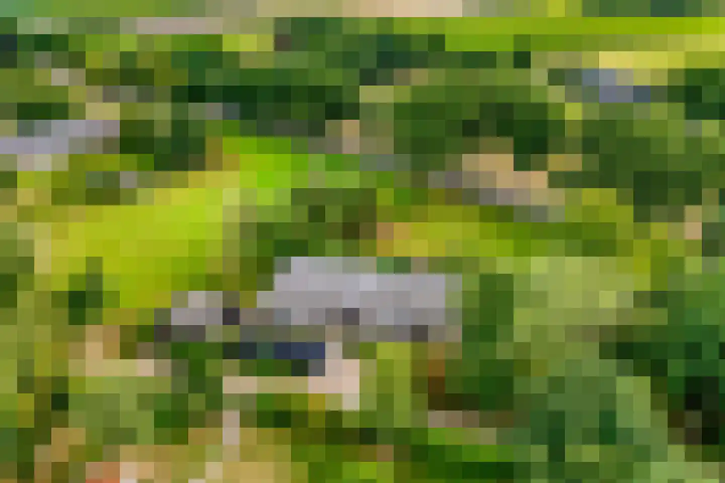Westeinde 51 Dwingeloo thumbnail 15