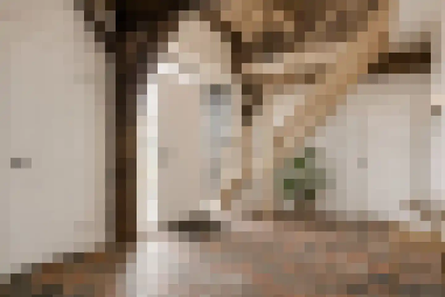 Westeinde 51 Dwingeloo thumbnail 20