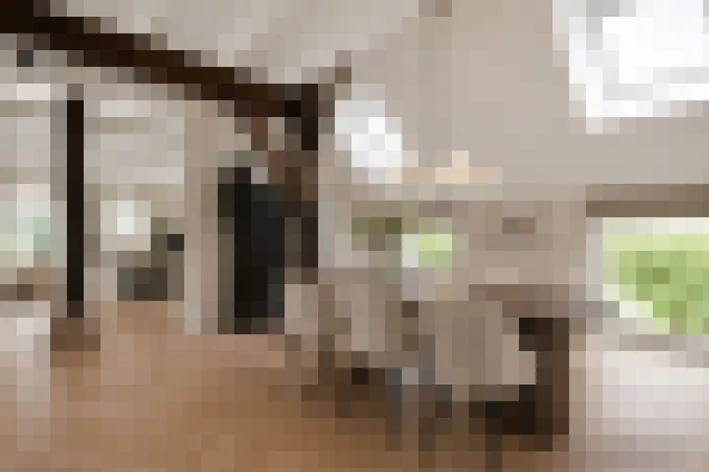 Westeinde 51 Dwingeloo thumbnail 24