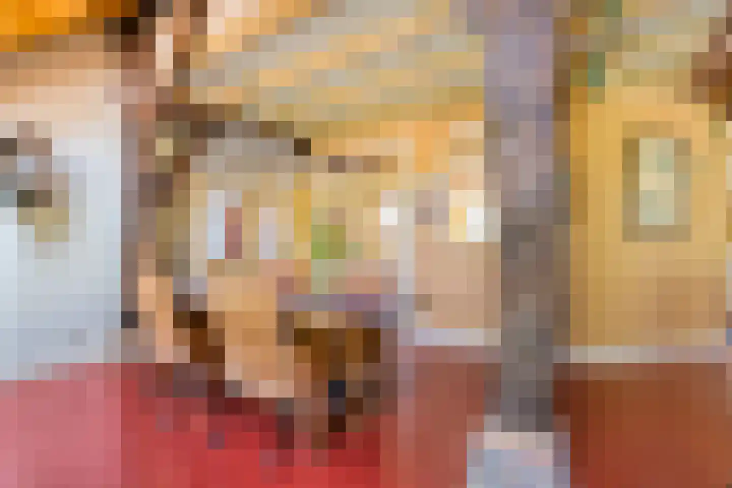 Westeinde 51 Dwingeloo thumbnail 26