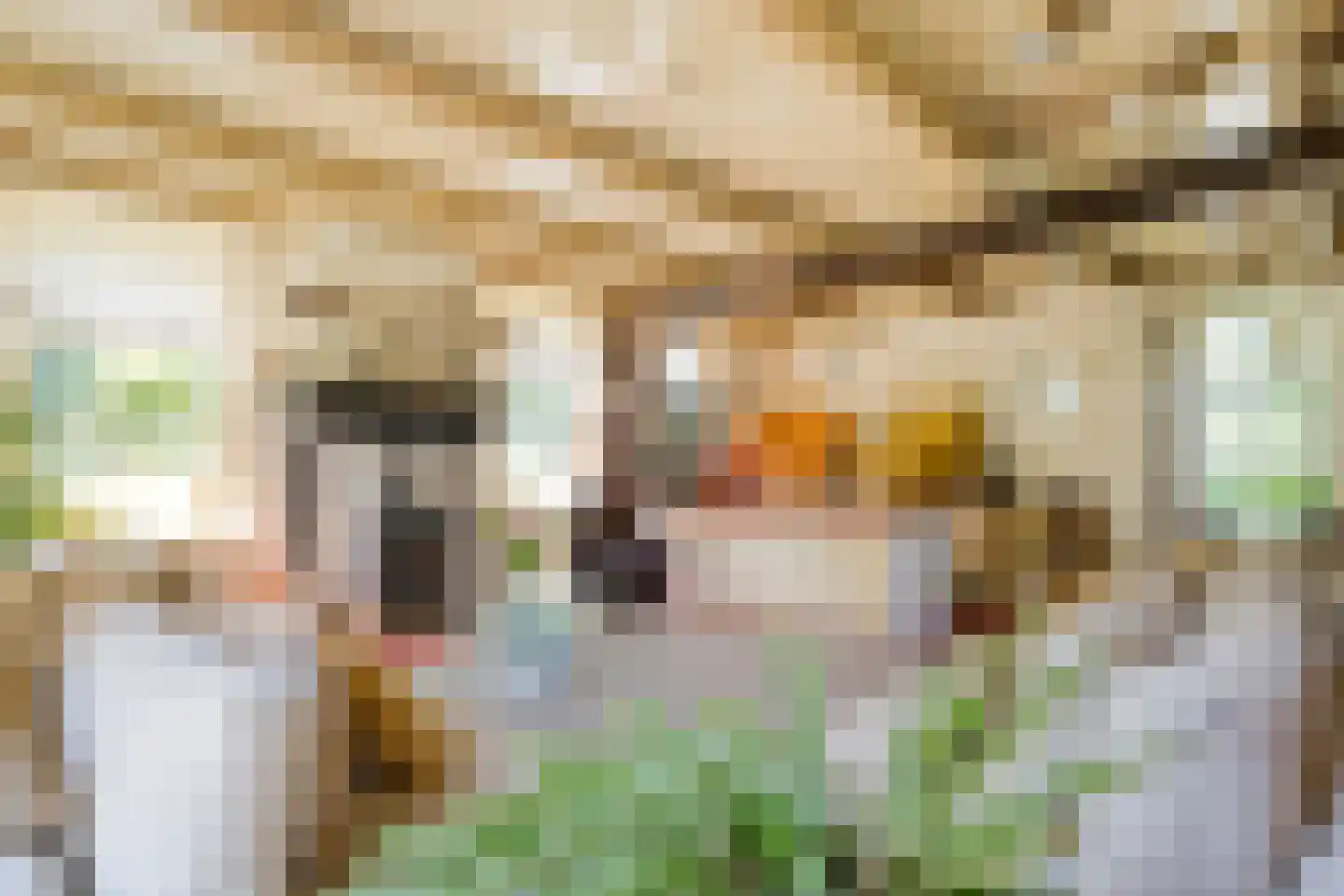 Westeinde 51 Dwingeloo thumbnail 32