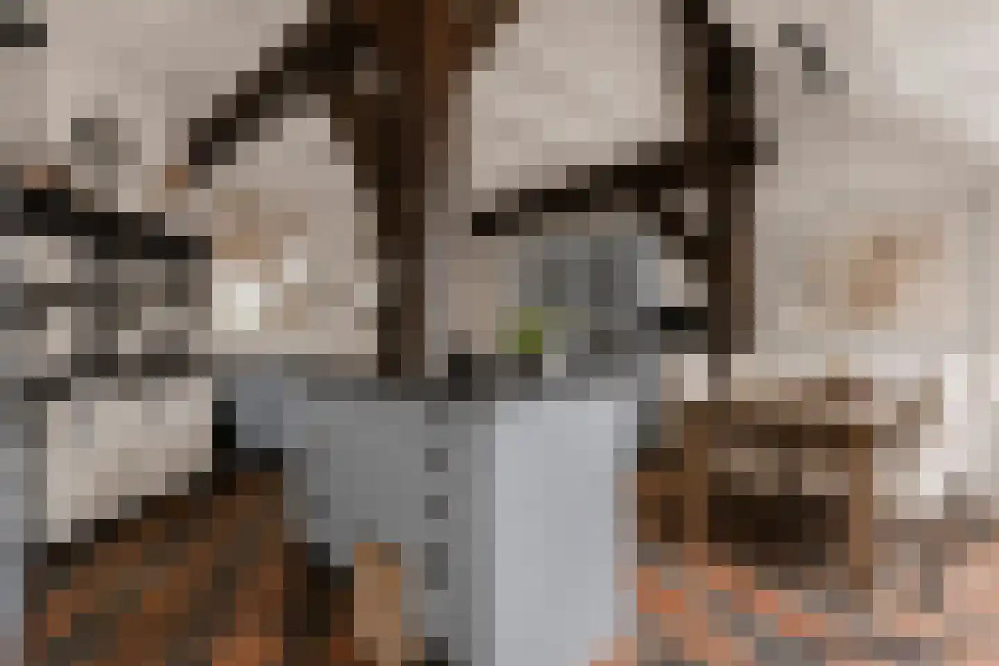 Westeinde 51 Dwingeloo thumbnail 33
