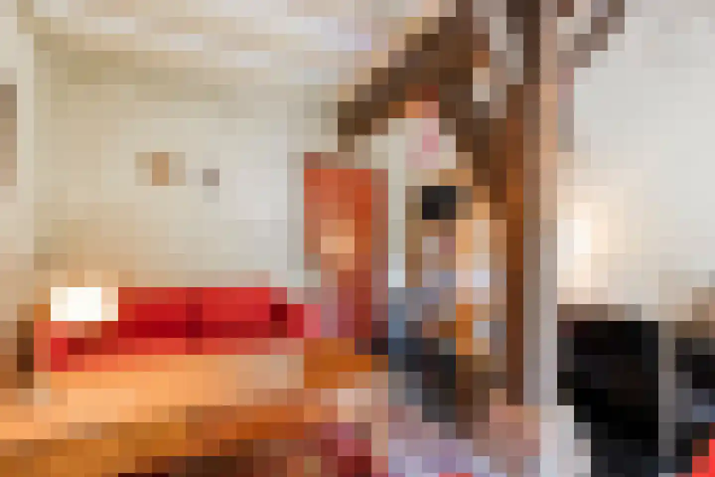 Westeinde 51 Dwingeloo thumbnail 39