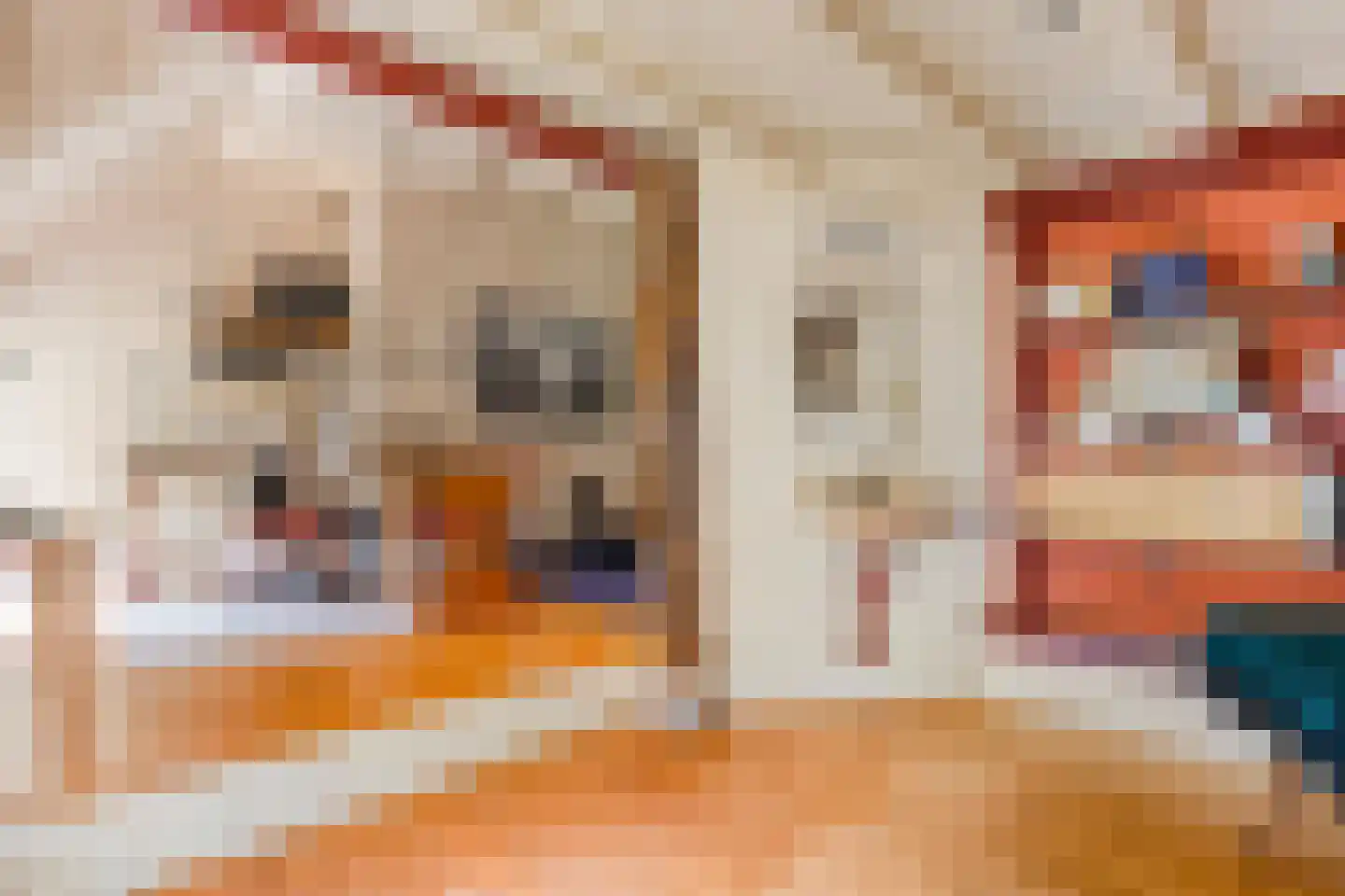 Westeinde 51 Dwingeloo thumbnail 43