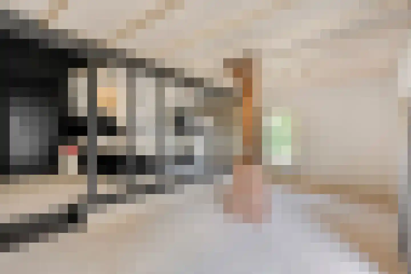 Westeinde 51 Dwingeloo thumbnail 48