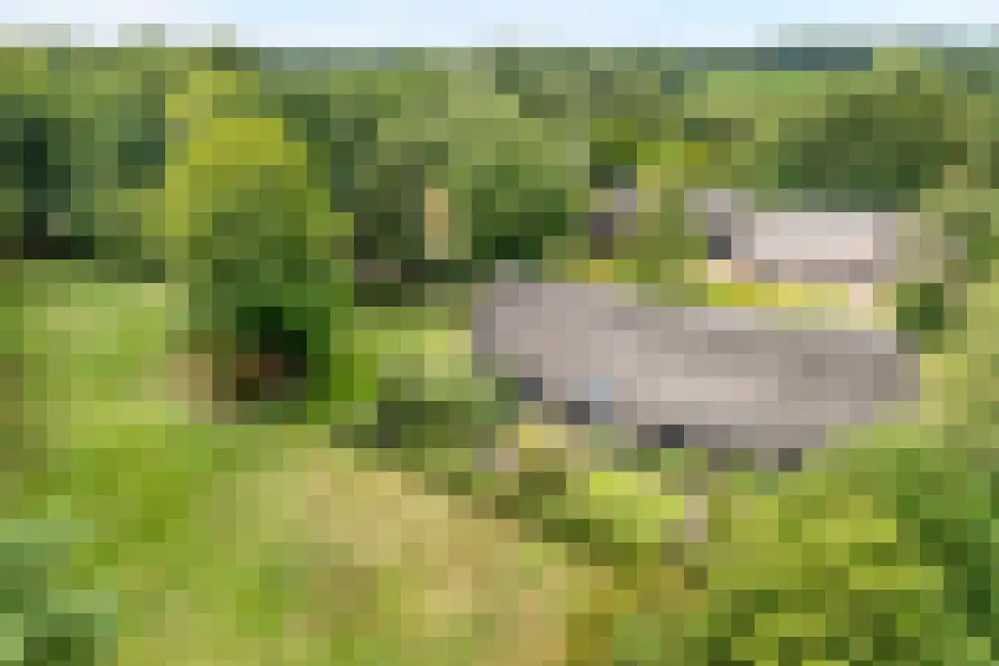 Westeinde 51 Dwingeloo thumbnail 5