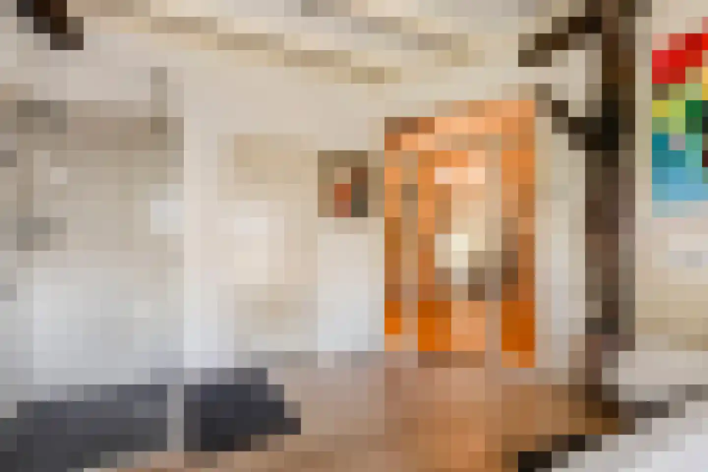 Westeinde 51 Dwingeloo thumbnail 52