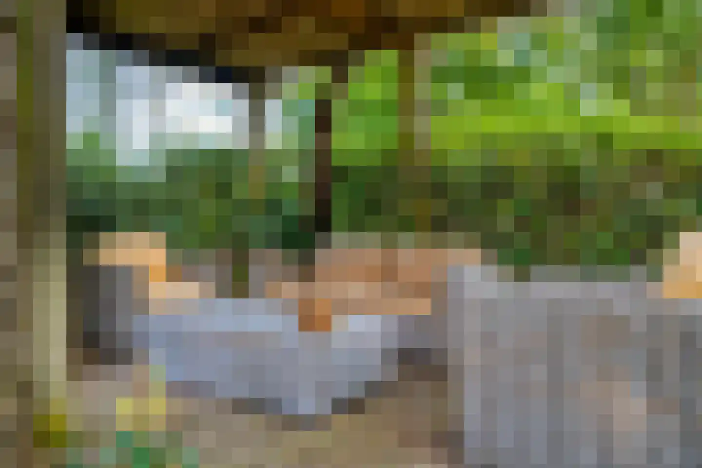 Westeinde 51 Dwingeloo thumbnail 59