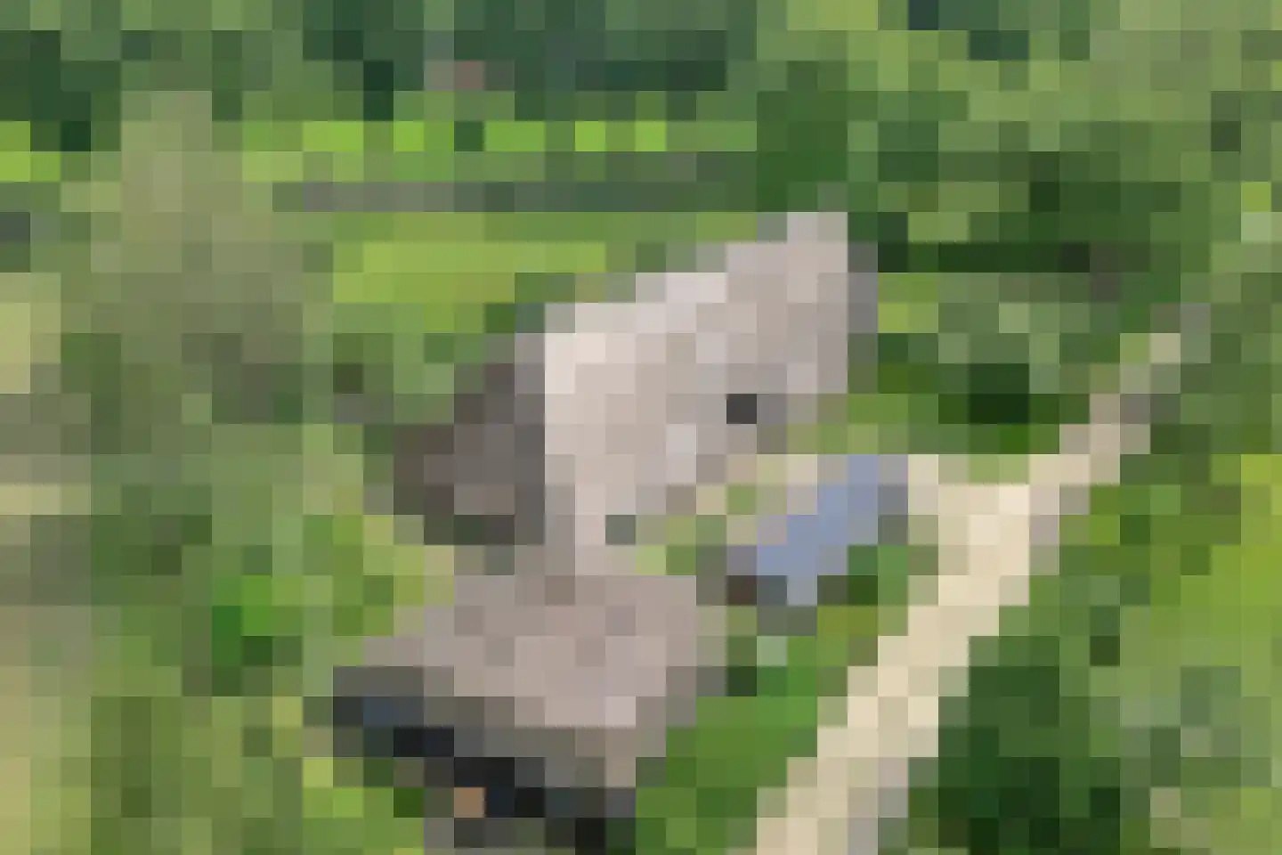 Westeinde 51 Dwingeloo thumbnail 6