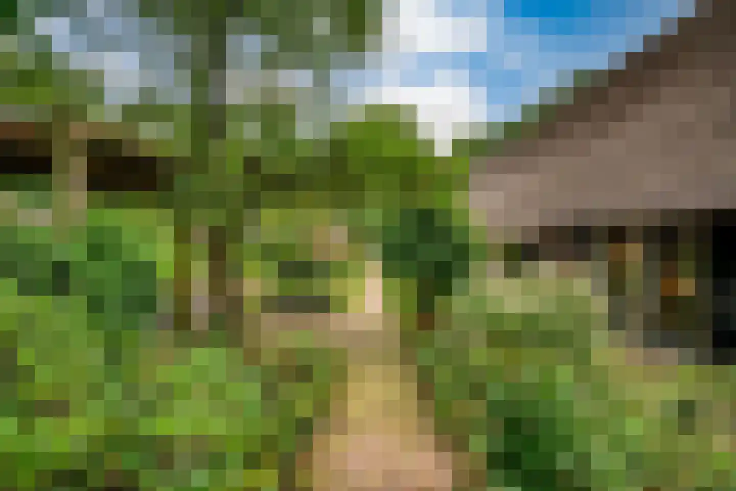 Westeinde 51 Dwingeloo thumbnail 65