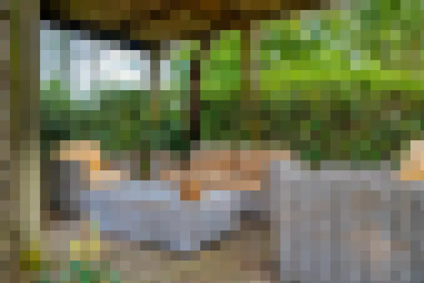 Westeinde 51 Dwingeloo thumbnail 66