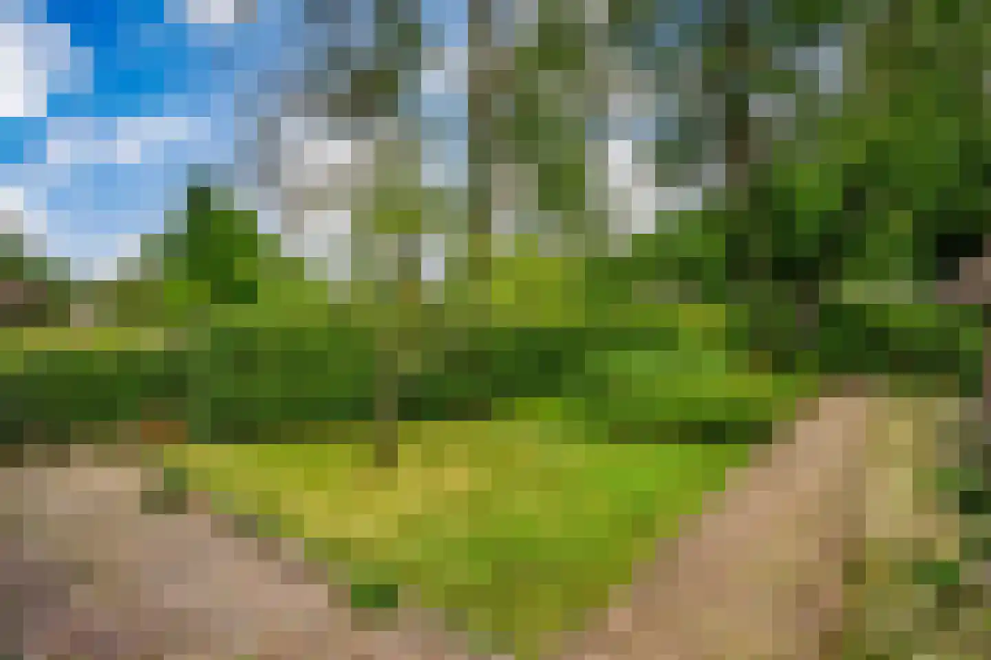 Westeinde 51 Dwingeloo thumbnail 69