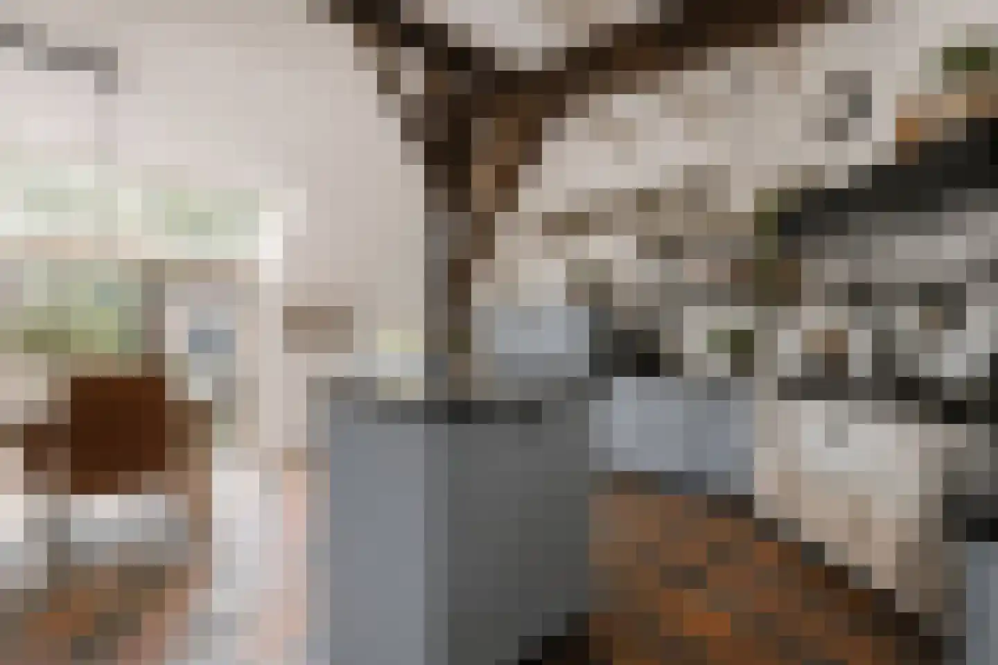 Westeinde 51 Dwingeloo thumbnail 7