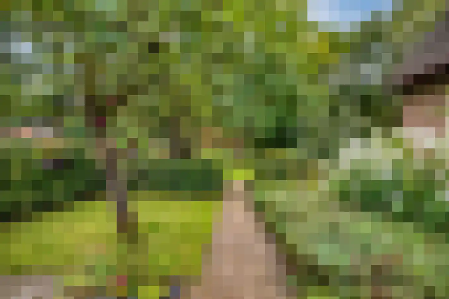 Westeinde 51 Dwingeloo thumbnail 70