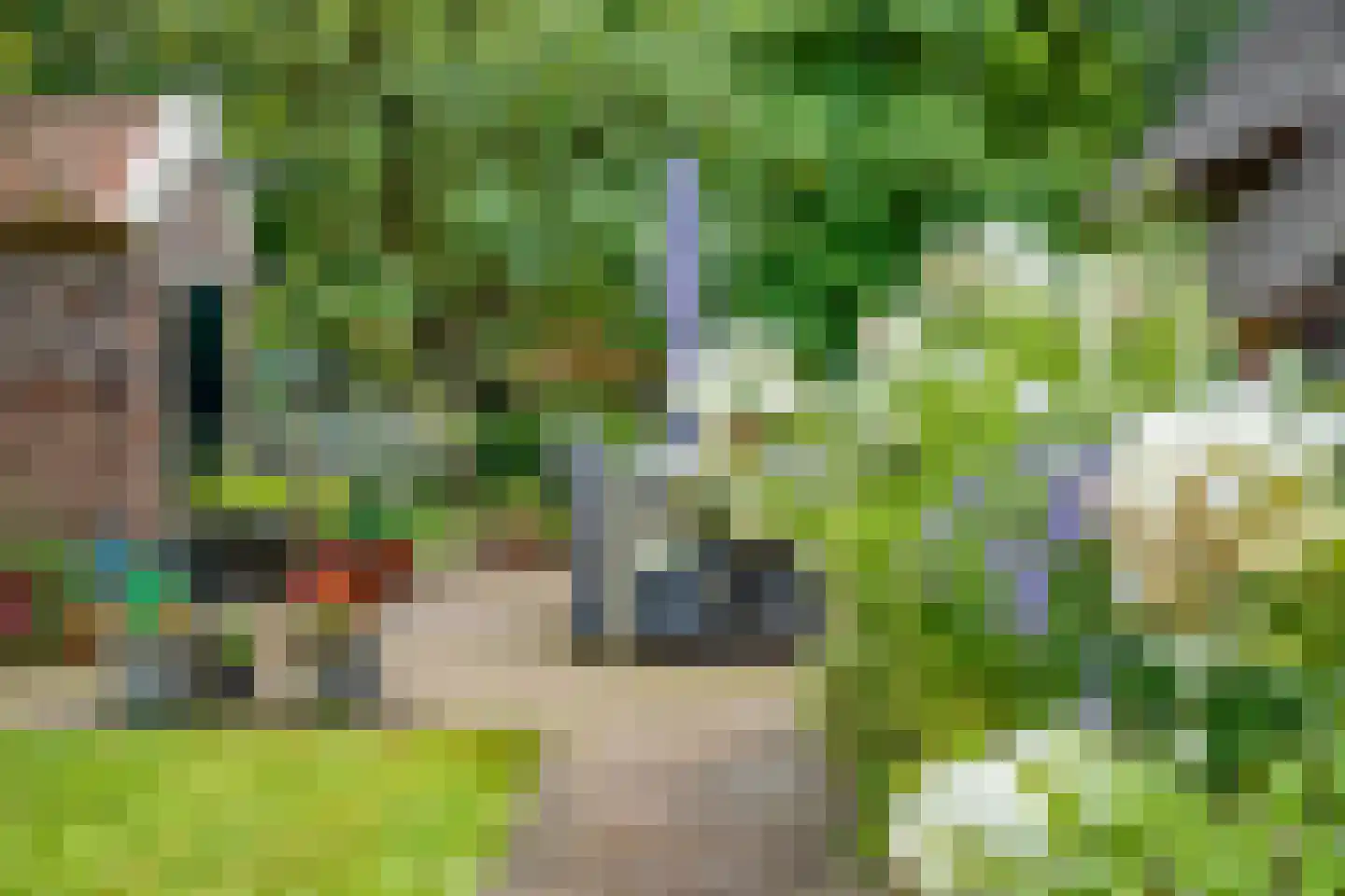 Westeinde 51 Dwingeloo thumbnail 71