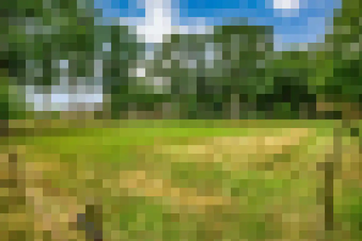 Westeinde 51 Dwingeloo thumbnail 73