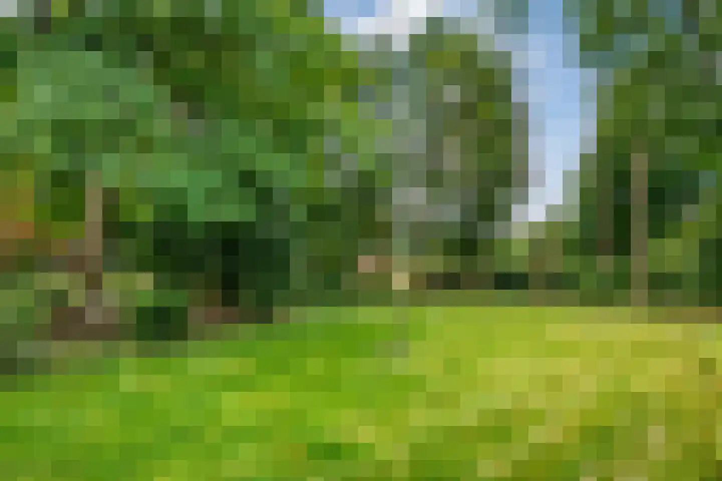 Westeinde 51 Dwingeloo thumbnail 74
