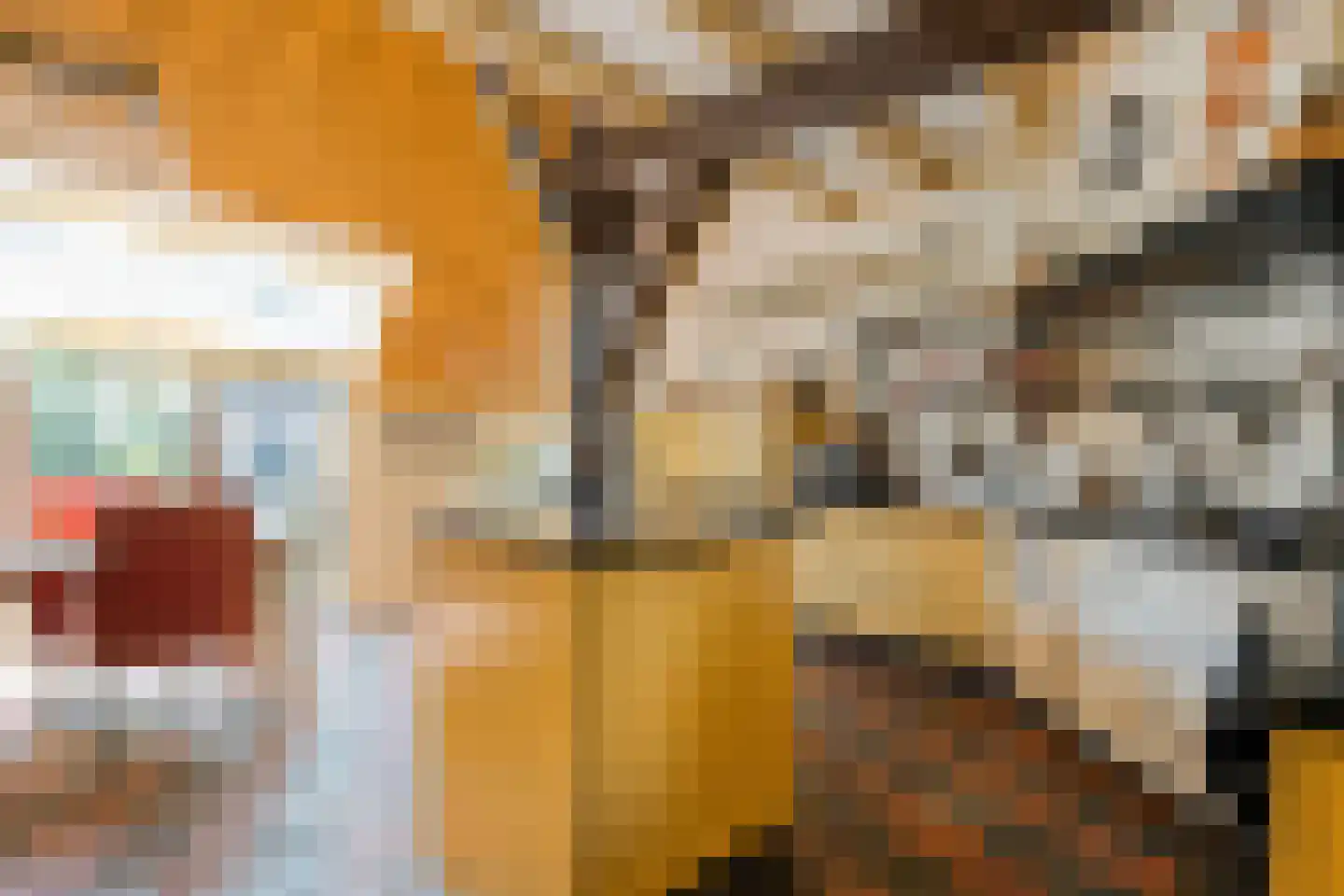 Westeinde 51 Dwingeloo thumbnail 8