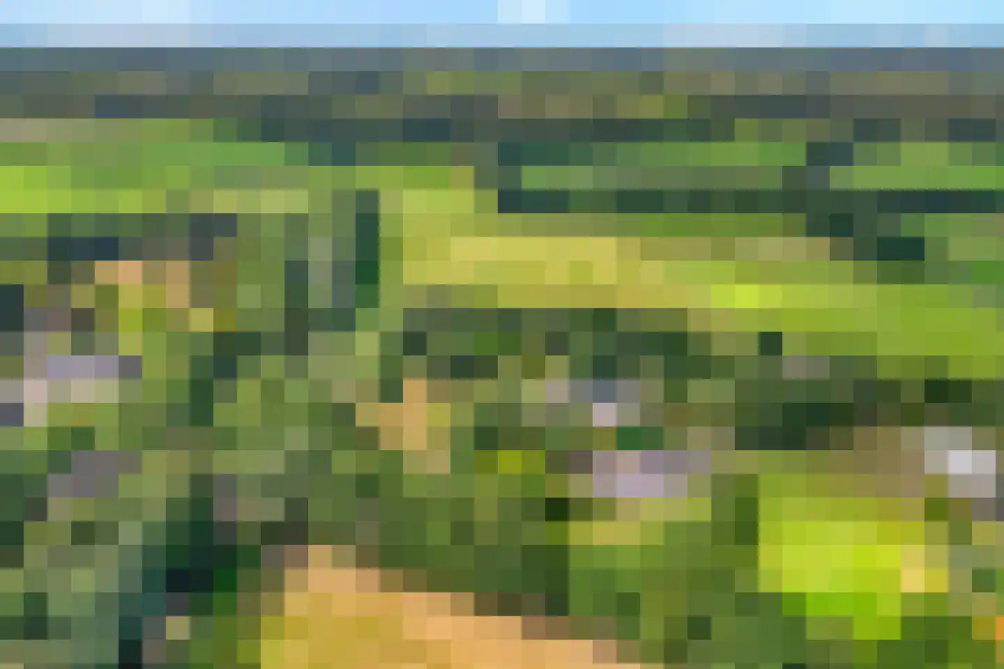 Westeinde 51 Dwingeloo thumbnail 9