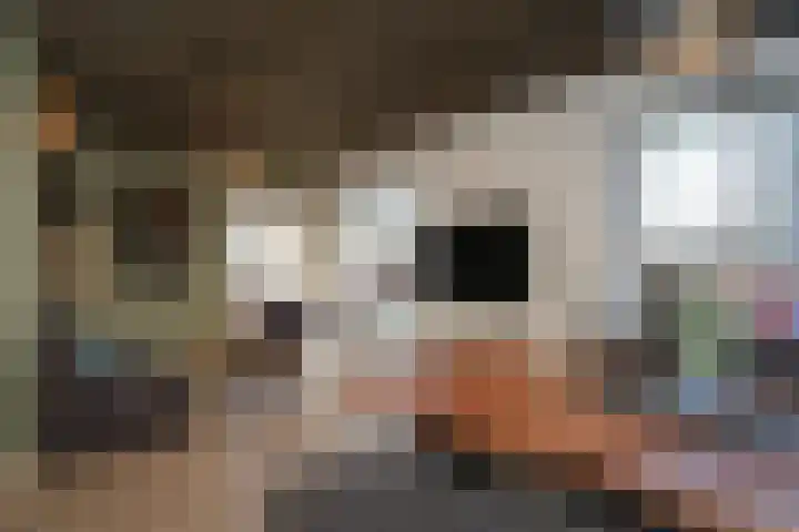 Westeinde 529 Vriezenveen thumbnail 13