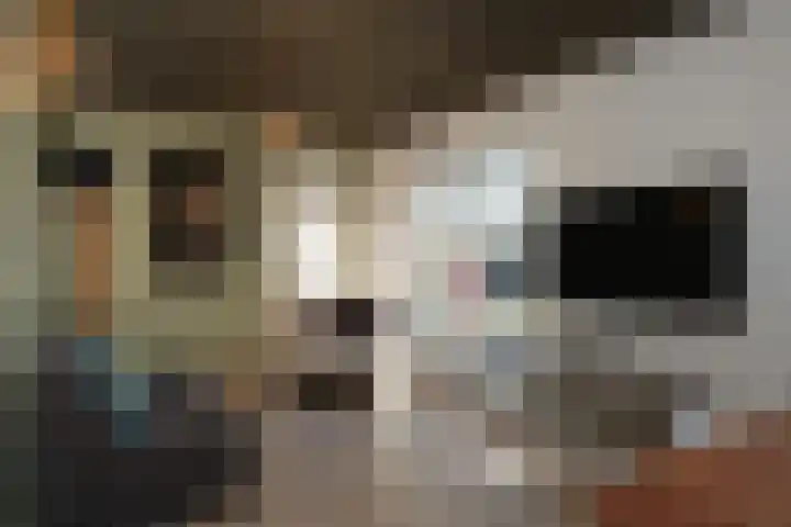 Westeinde 529 Vriezenveen thumbnail 15