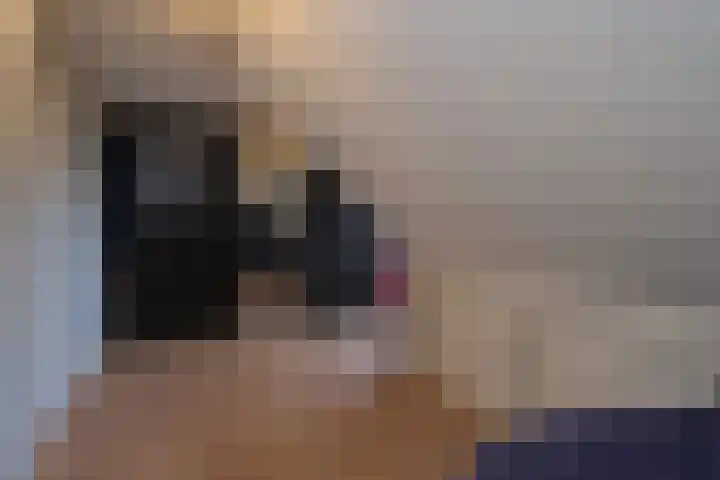Westeinde 529 Vriezenveen thumbnail 33