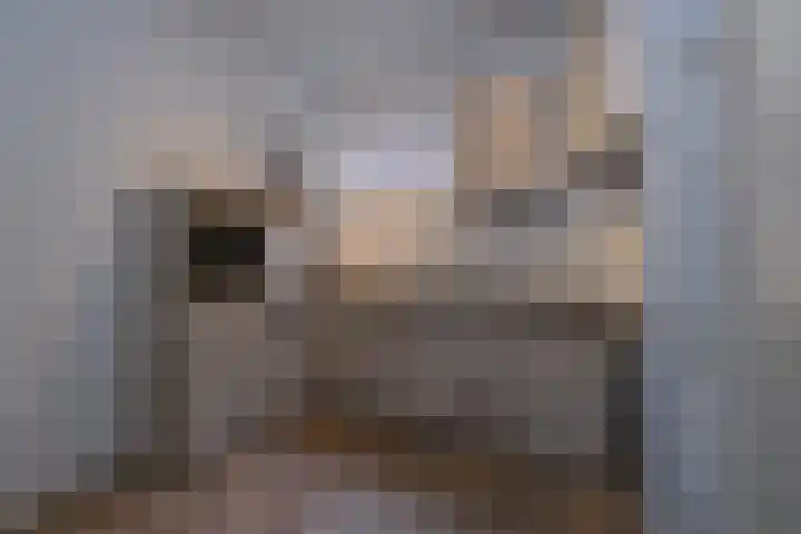Westeinde 529 Vriezenveen thumbnail 40
