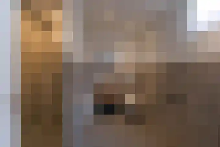 Westeinde 529 Vriezenveen thumbnail 42