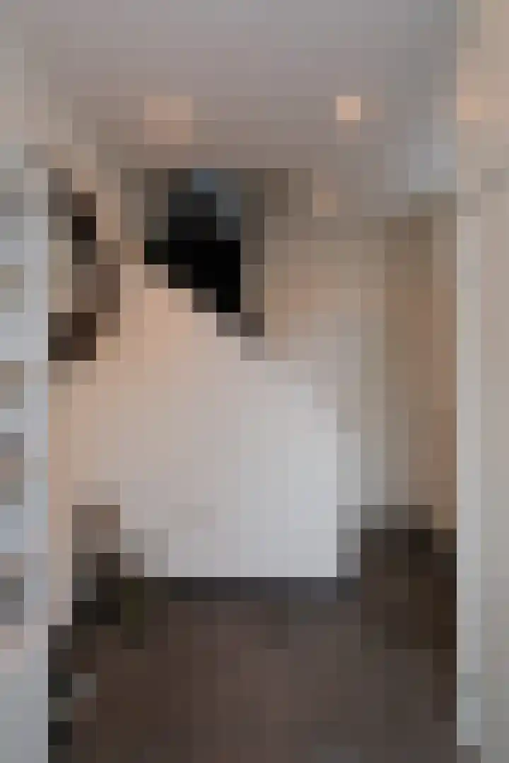Westeinde 529 Vriezenveen thumbnail 8
