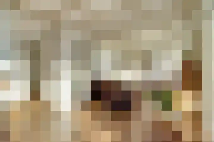 Westeinde 55 Waarder thumbnail 25