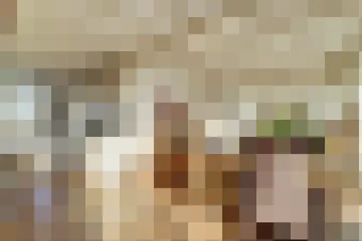 Westeinde 55 Waarder thumbnail 32