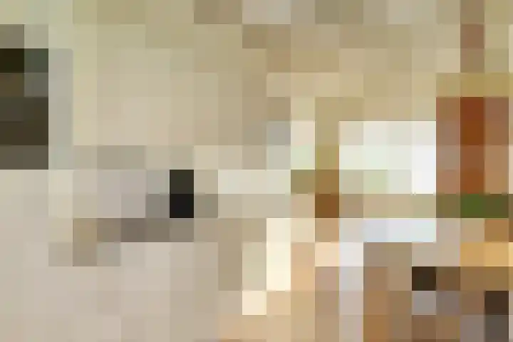 Westeinde 55 Waarder thumbnail 35