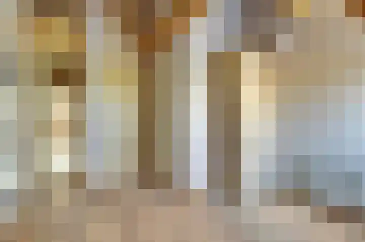 Westeinde 55 Waarder thumbnail 54
