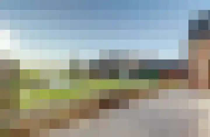 Westeinde 55 Waarder thumbnail 59