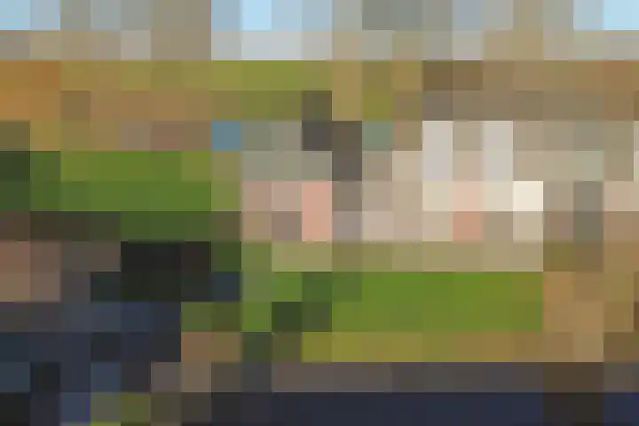 Westeinde 55 Waarder thumbnail 6