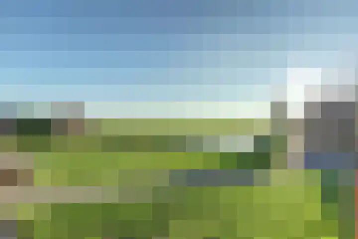 Westeinde 55 Waarder thumbnail 64