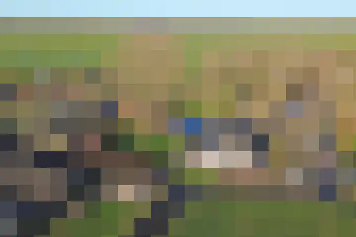 Westeinde 55 Waarder thumbnail 71